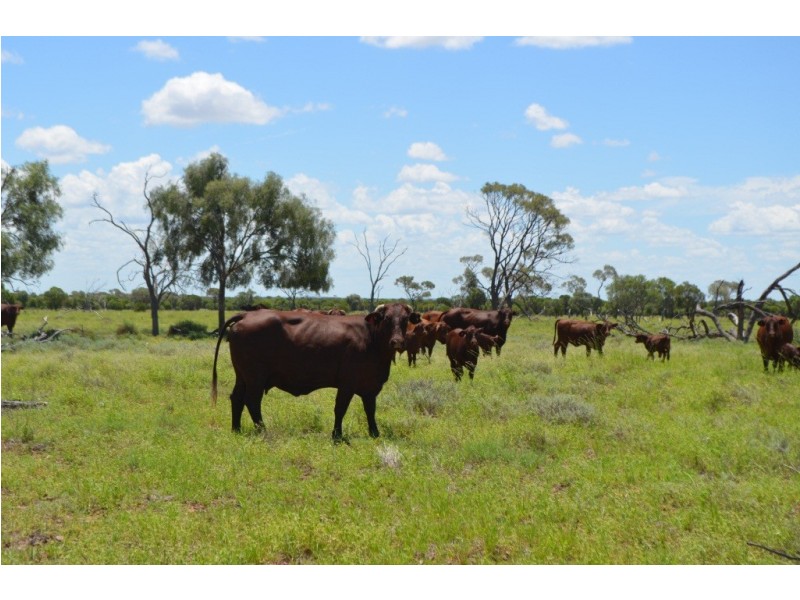 Longreach QLD 4730