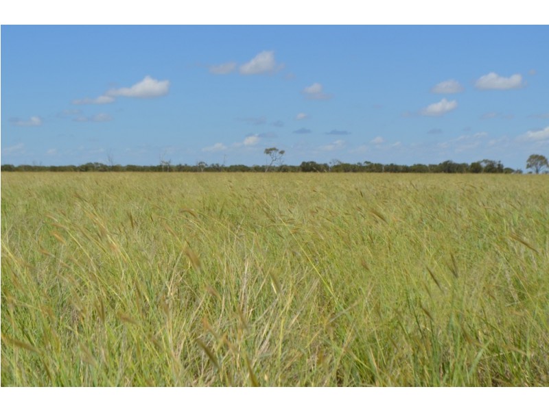 Longreach QLD 4730