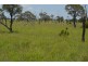 Longreach QLD 4730