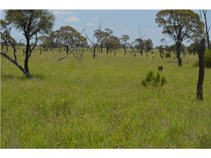 Longreach QLD 4730