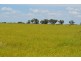 Longreach QLD 4730