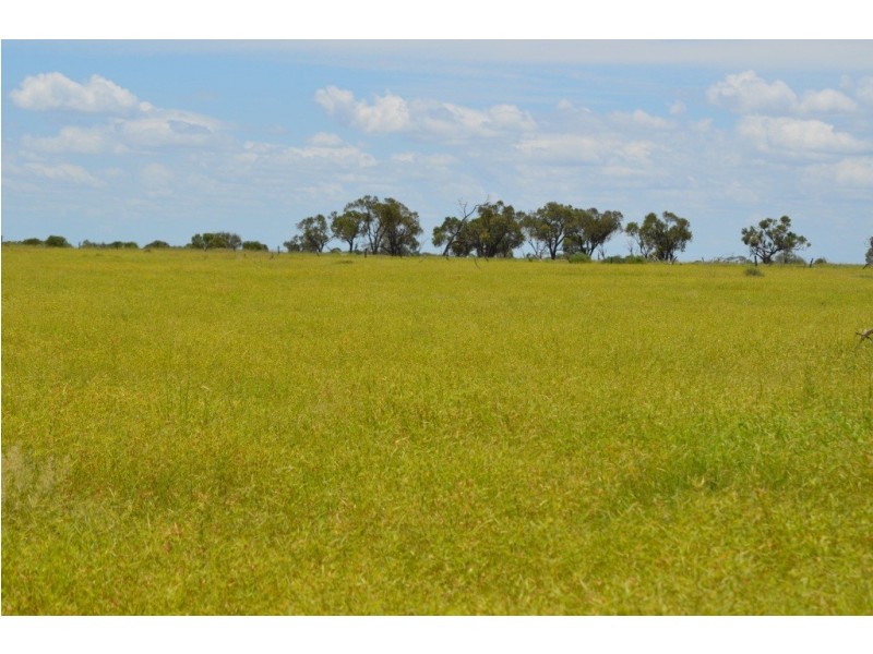 Longreach QLD 4730