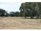 Condamine QLD 4416