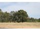 Condamine QLD 4416