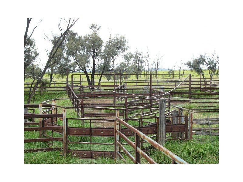 Blackall QLD 4472