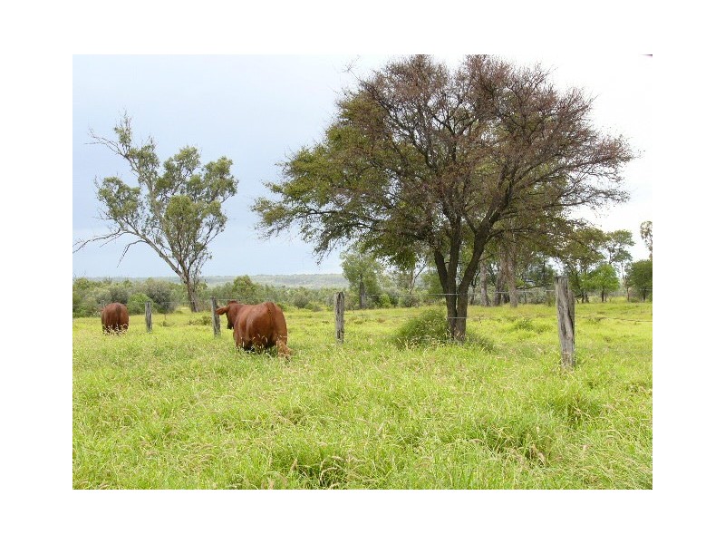 Blackall QLD 4472