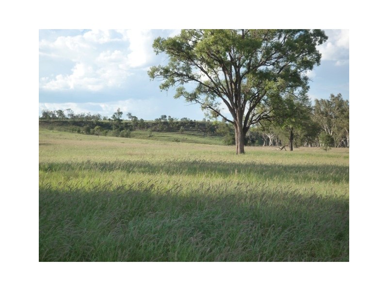 ” Kingull West”, Roma QLD 4455