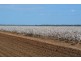 St George QLD 4487