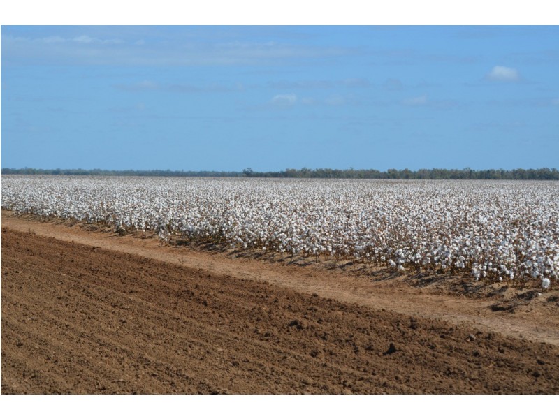 St George QLD 4487