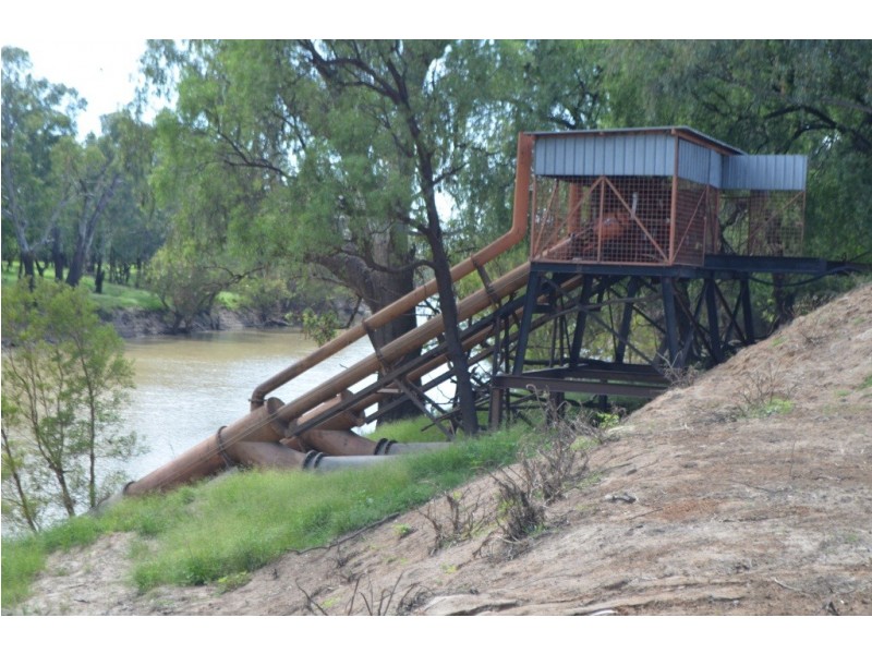 St George QLD 4487