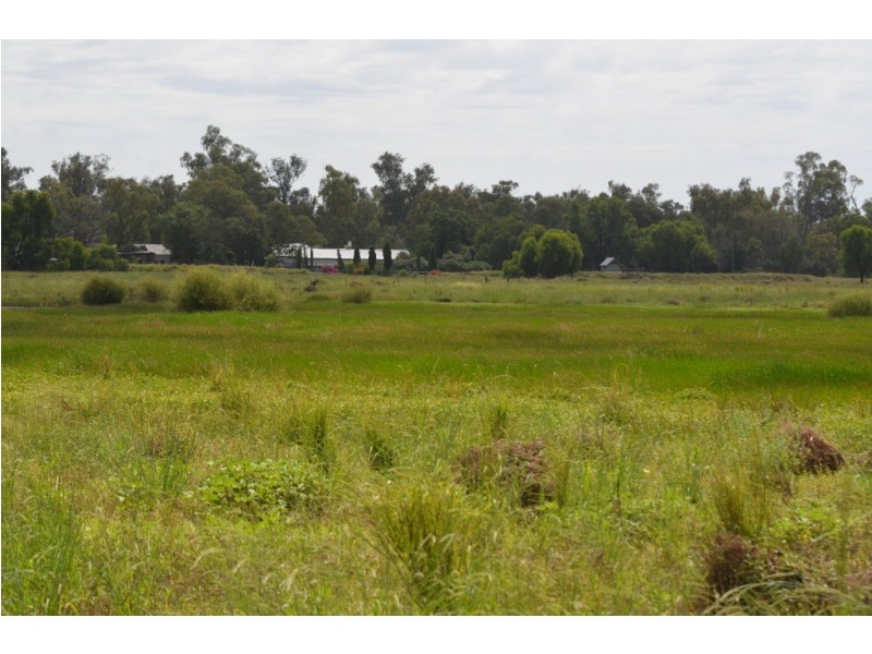 St George QLD 4487