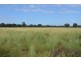 St George QLD 4487