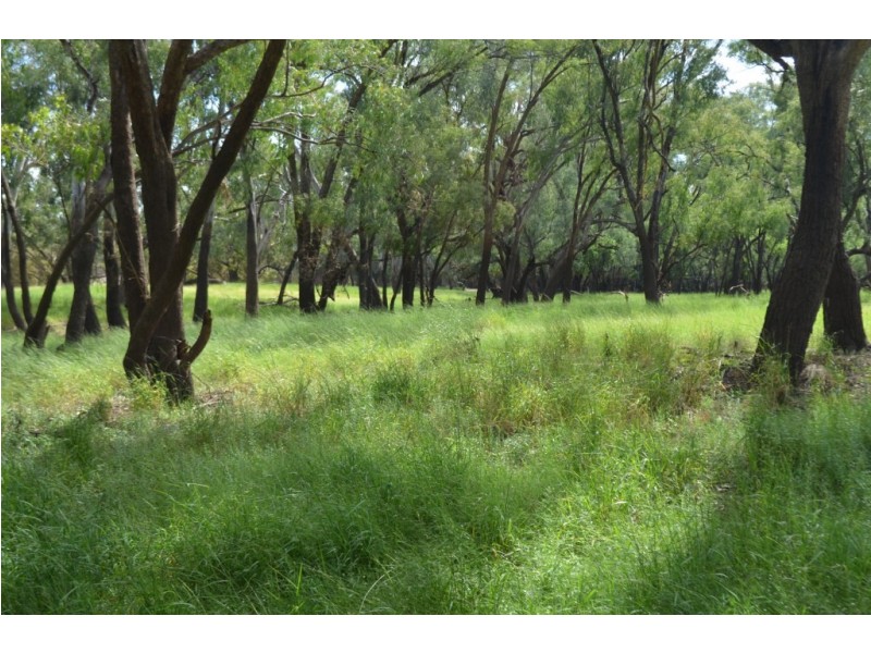 St George QLD 4487