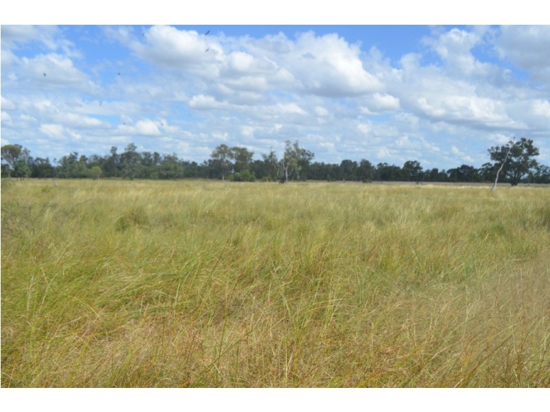 St George QLD 4487
