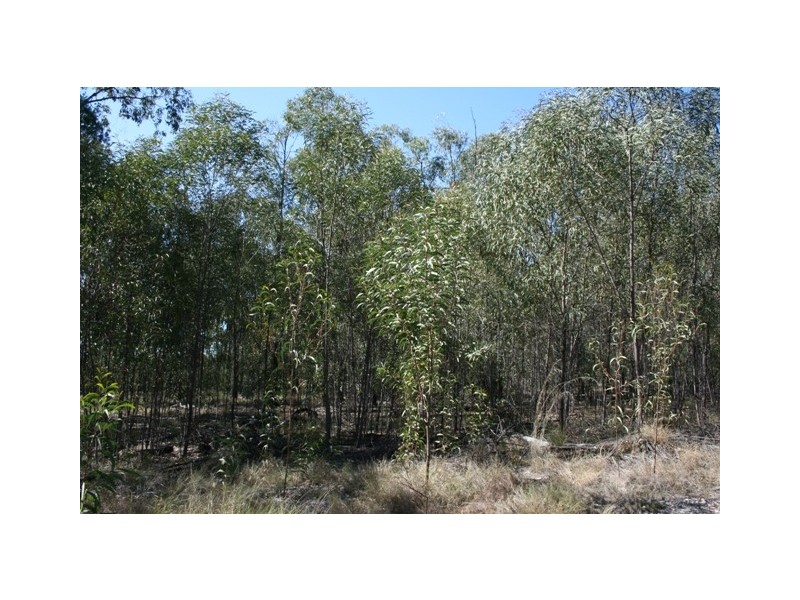 1001 WIEMABILLA RD, Chinchilla QLD 4413