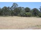 1001 WIEMABILLA RD, Chinchilla QLD 4413