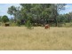 ” Wiringa”, Charleville QLD 4470