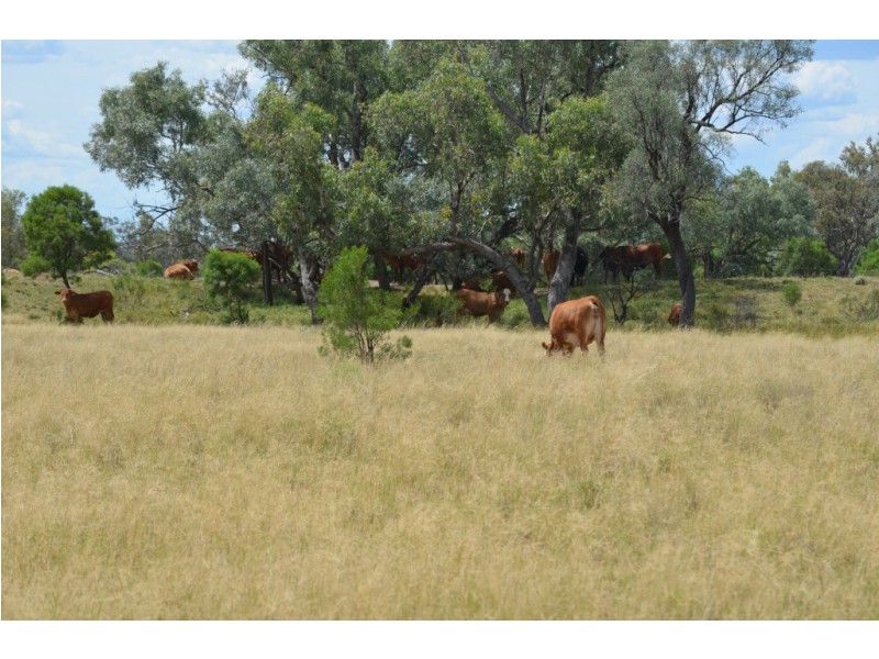 ” Wiringa”, Charleville QLD 4470