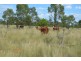 ” Wiringa”, Charleville QLD 4470