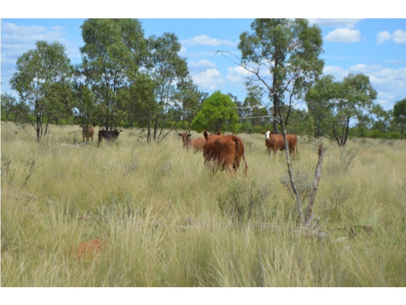 ” Wiringa”, Charleville QLD 4470