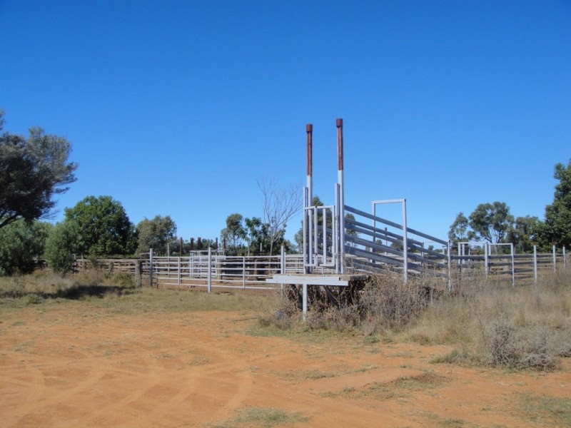 ” Wiringa”, Charleville QLD 4470