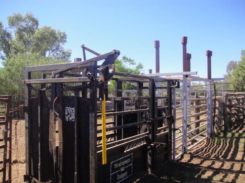 ” Wiringa”, Charleville QLD 4470