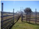 ” Wiringa”, Charleville QLD 4470