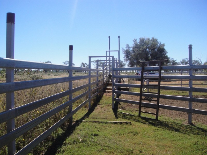 ” Wiringa”, Charleville QLD 4470
