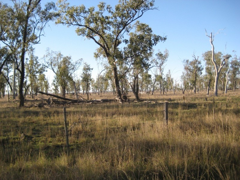 190 Miss Jurgs Rd, Cecil Plains QLD 4407