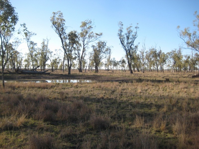 190 Miss Jurgs Rd, Cecil Plains QLD 4407