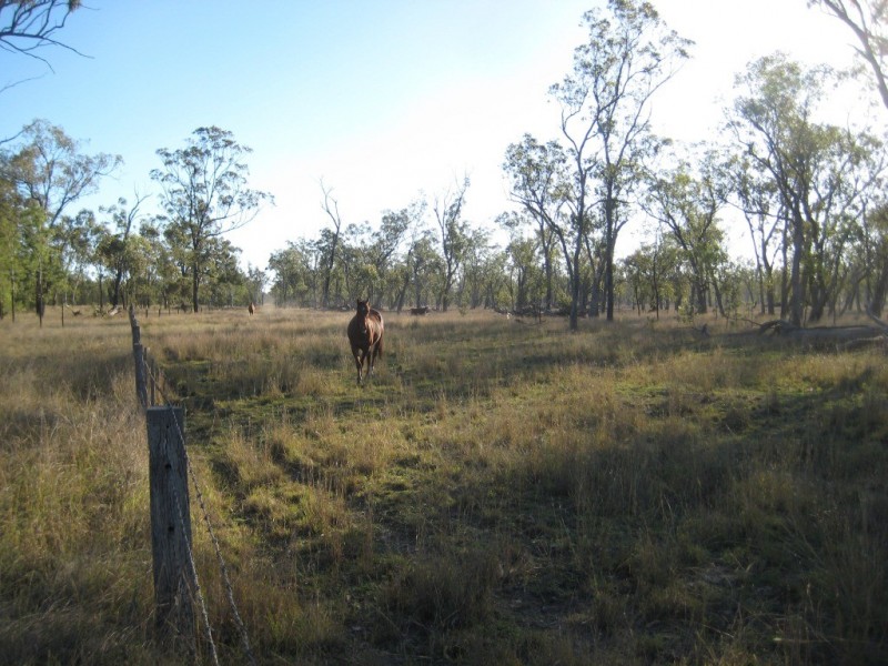 190 Miss Jurgs Rd, Cecil Plains QLD 4407