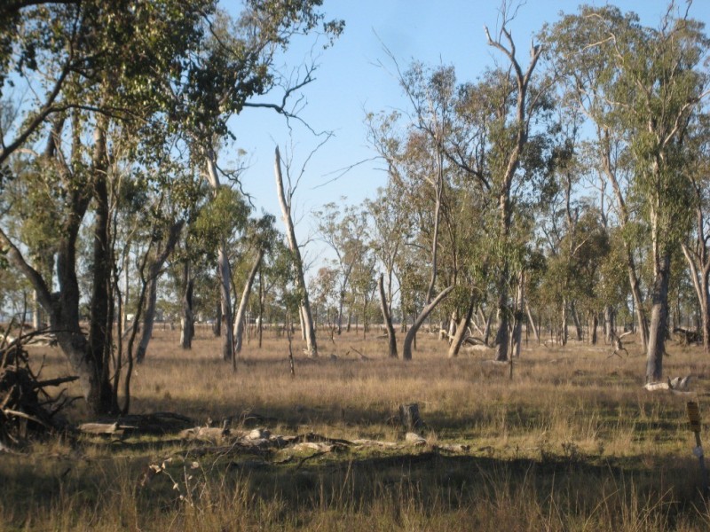 190 Miss Jurgs Rd, Cecil Plains QLD 4407