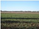 ” Fairlands “, Bell QLD 4408