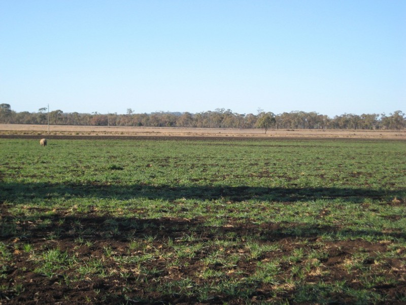 ” Fairlands “, Bell QLD 4408