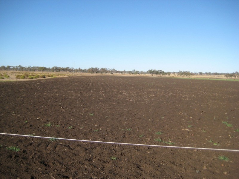 ” Fairlands “, Bell QLD 4408