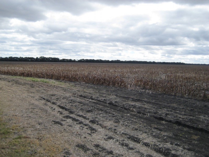 Kupunn QLD 4405