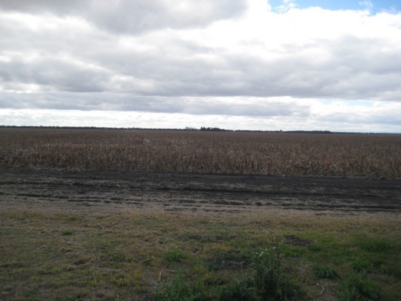 Kupunn QLD 4405
