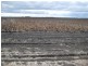 Kupunn QLD 4405