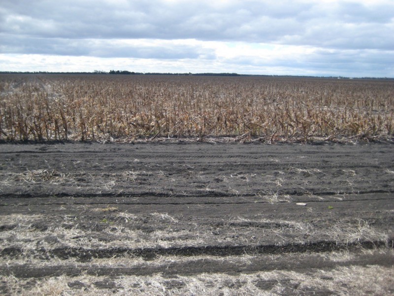 Kupunn QLD 4405