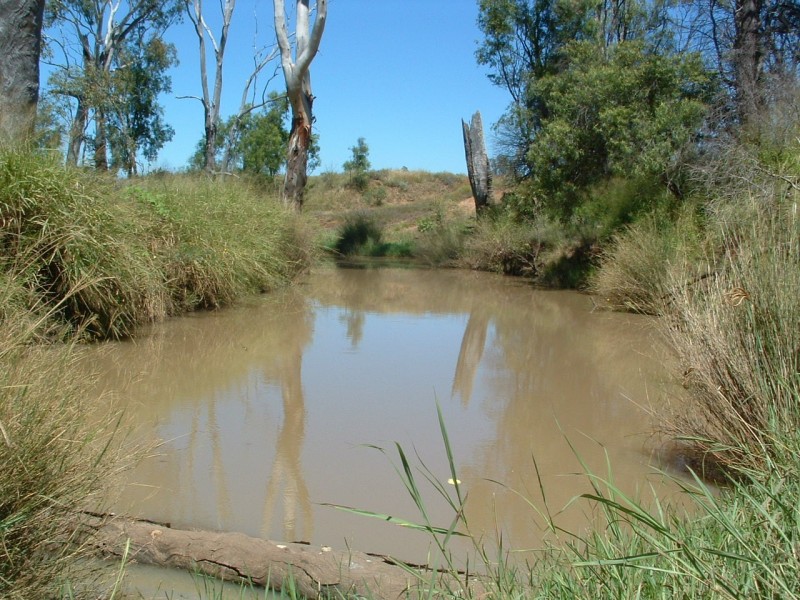 Jandowae QLD 4410