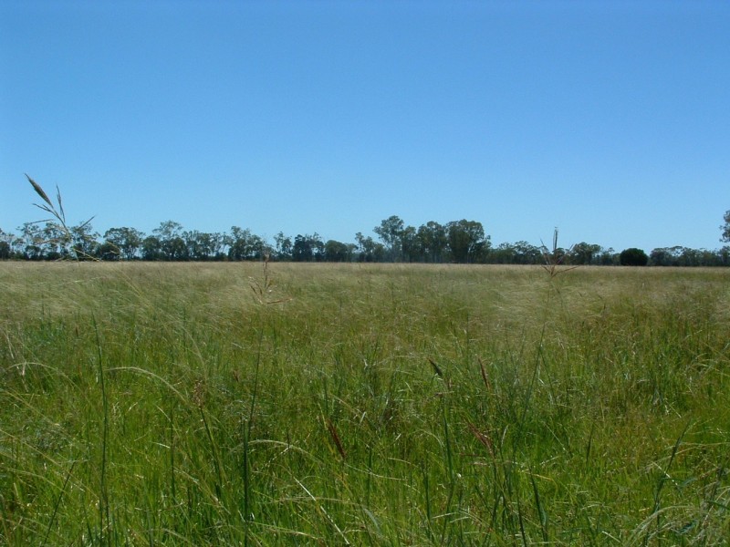 Jandowae QLD 4410