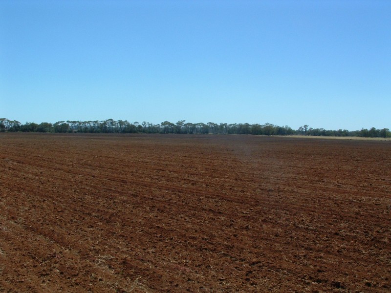 Jandowae QLD 4410