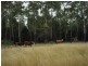 Jackson North QLD 4426