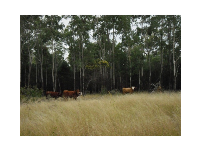Jackson North QLD 4426