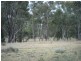 Jackson North QLD 4426