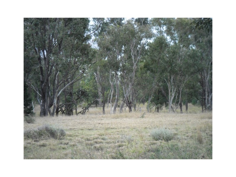 Jackson North QLD 4426