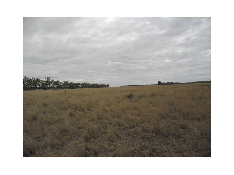 Jackson North QLD 4426