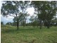 ” GARFIELD”, Jericho QLD 4728