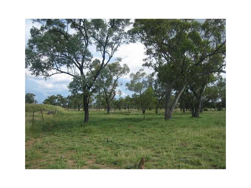” GARFIELD”, Jericho QLD 4728