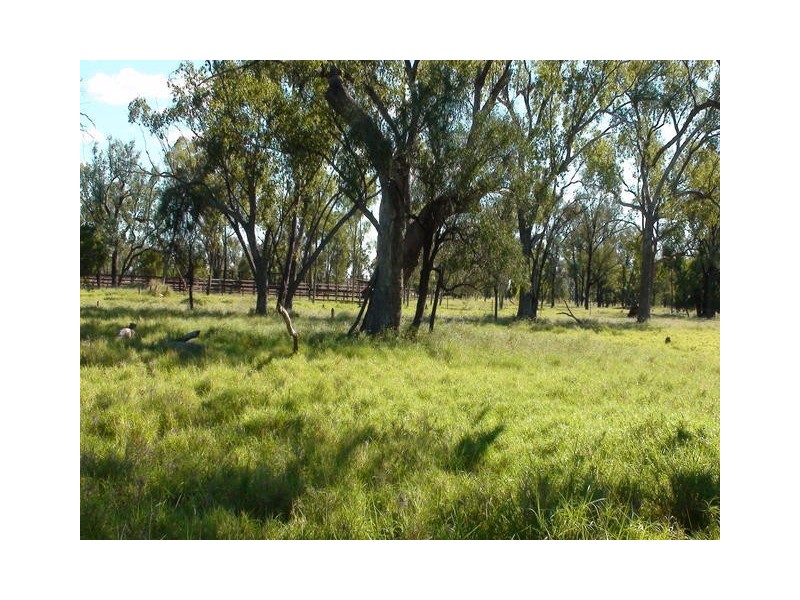 ” GARFIELD”, Jericho QLD 4728